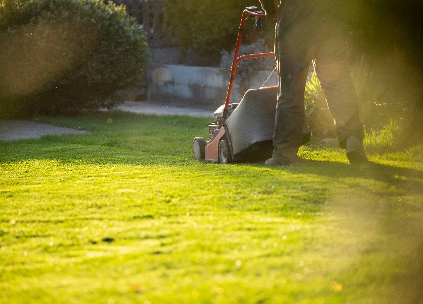 Lawn Maintenance-image